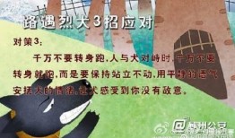 由来在线观看,追溯“由来在线观看”的起源与发展历程