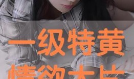 情欲在线观看,揭秘网络情色内容的诱惑与风险