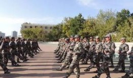 军训综艺爆料视频下载网站,独家爆料视频网站大揭秘